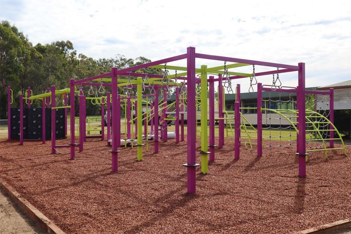 purple and green play area with roman rings and climbing wall